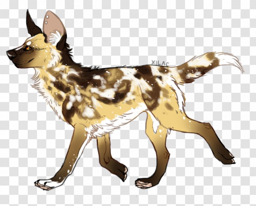 Dog Breed German Shepherd African Wild Brittany Drawing - Fox Transparent PNG