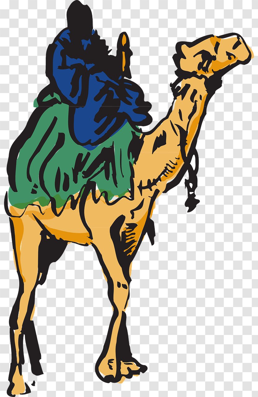 Cama Clip Art - Camel Transparent PNG