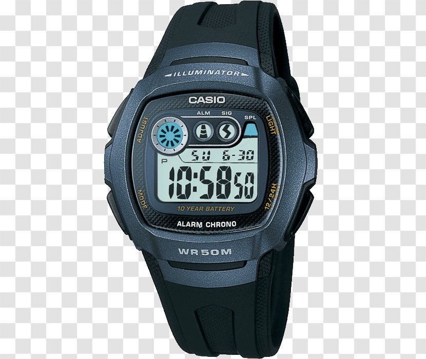 Casio F-91W Watch Strap Illuminator Transparent PNG