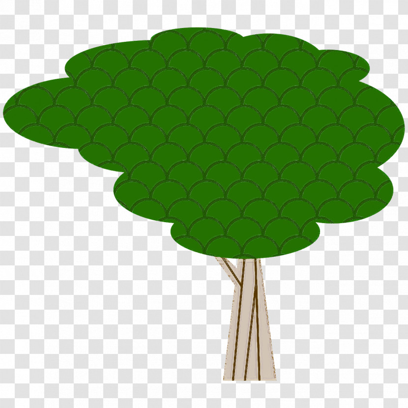 Leaf Plant Stem Tree Plants Science Transparent PNG