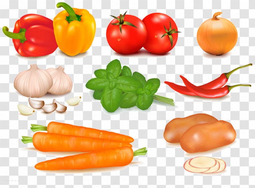 Vegetable Food Fruit Illustration - Fresh Vegetables Transparent PNG