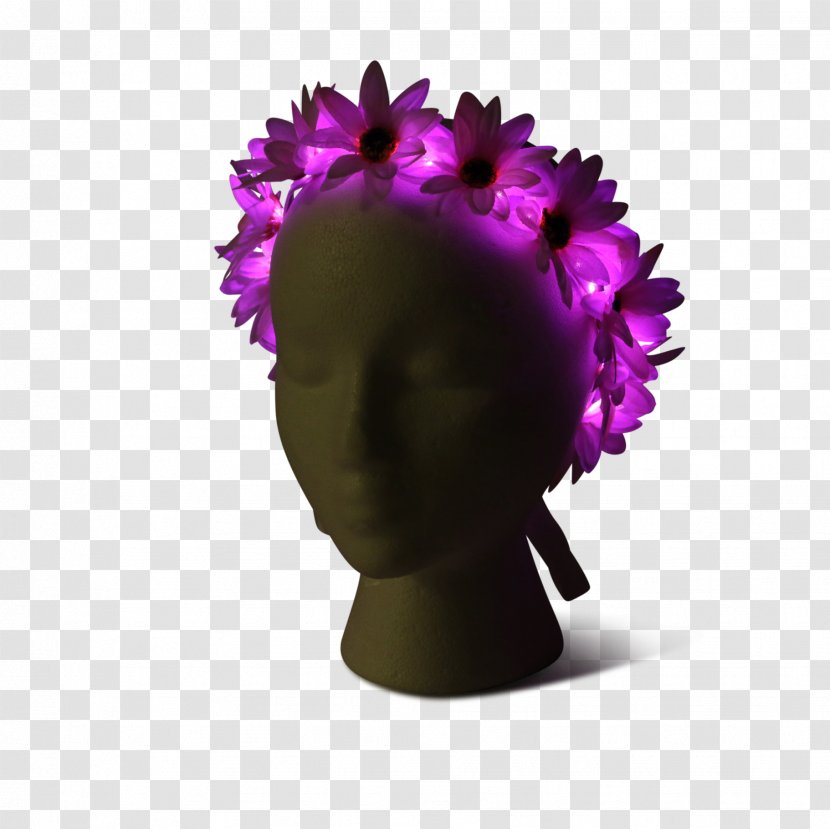 Light Petal Flower Wreath Crown Transparent PNG