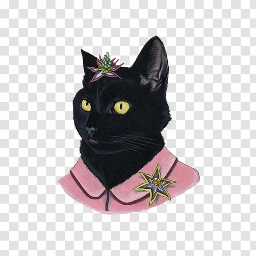 Black Cat Painting Portrait - Small To Medium Sized Cats Transparent PNG