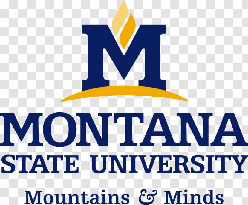 Montana State University Billings Of Western - Bozeman Transparent PNG