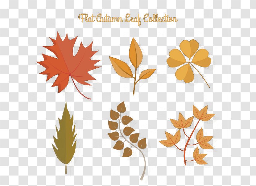Autumn Clip Art - Tree - Leaves Vector Material Transparent PNG