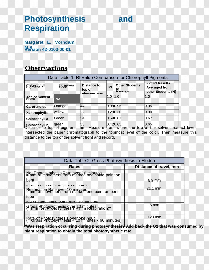 Document Line - Diagram Transparent PNG