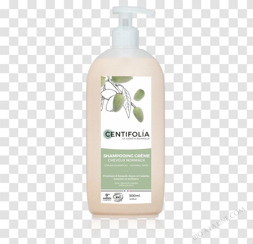 Shampoo Hair Capelli Cosmetics Decyl Glucoside - Brown Transparent PNG
