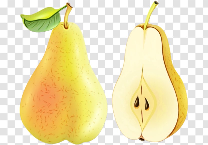 Pear Tree Plant Fruit - Accessory - Nepenthes Food Transparent PNG