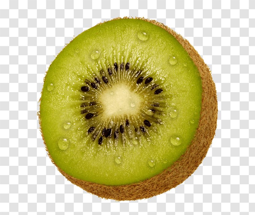 Kiwifruit Clip Art - Image File Formats - Kiwi Fruit Pictures Download Transparent PNG