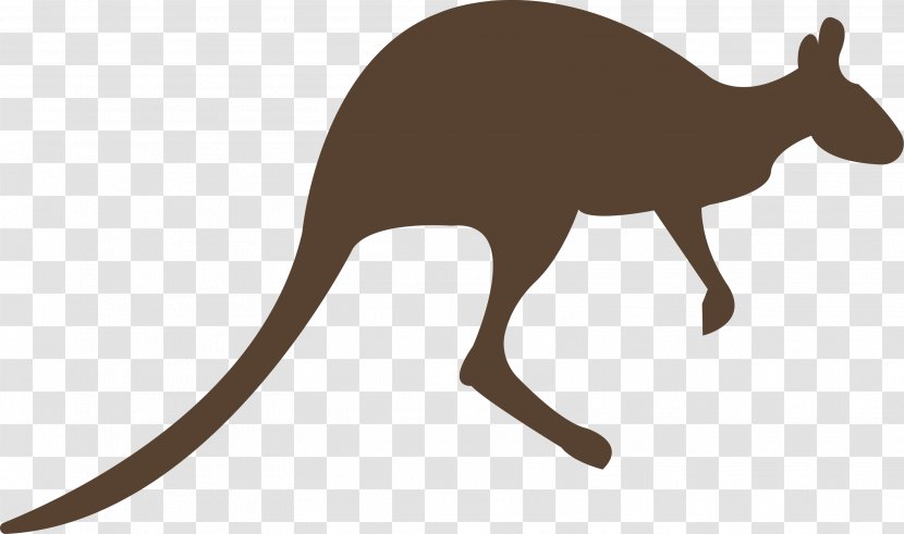 Macropodidae Kangaroo Animal Clip Art - Vertebrate Transparent PNG