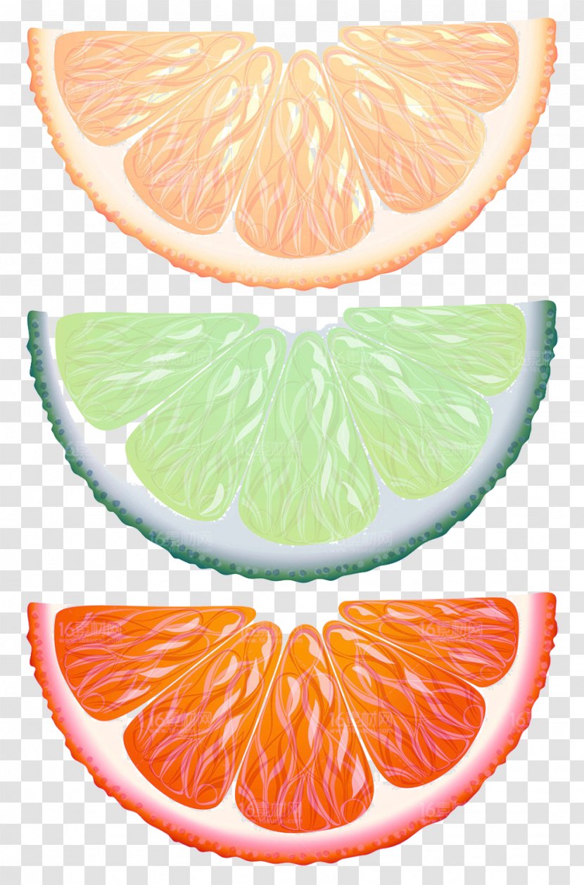 Lemon Key Lime Orange Fruit - Fresh Halves Picture Material Transparent PNG