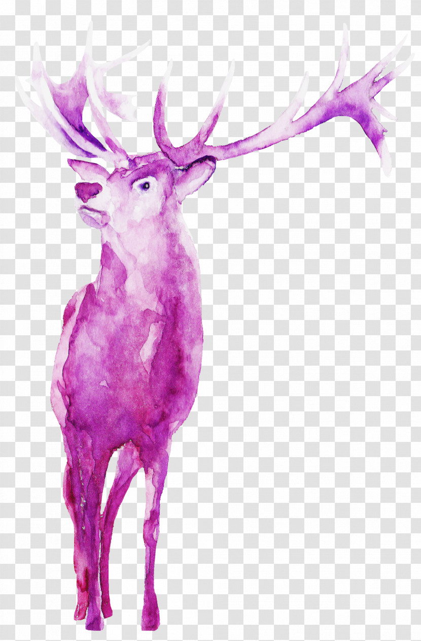 Reindeer Transparent PNG