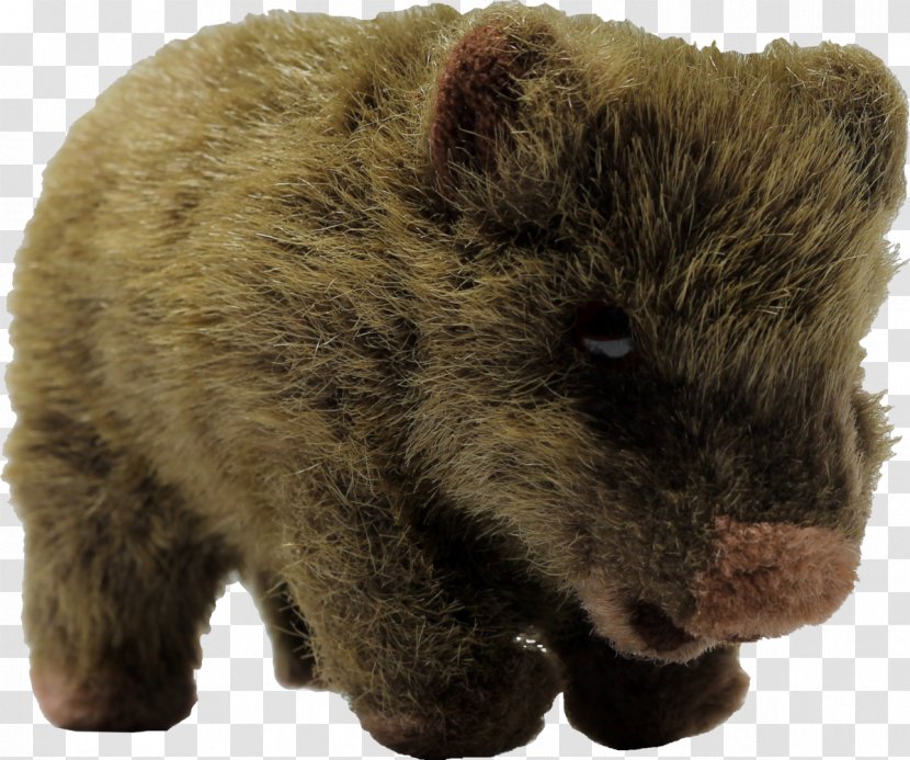 Wombat Stuffed Animals & Cuddly Toys Ty Inc. Hug Wikipedia - Wiktionary Transparent PNG