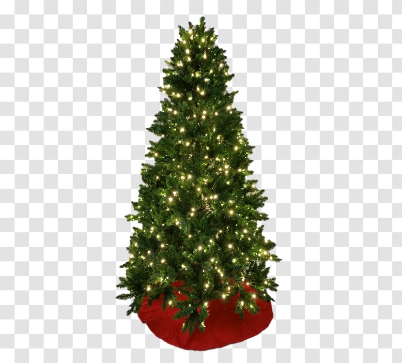 Christmas Tree Spruce Ornament Fir Transparent PNG