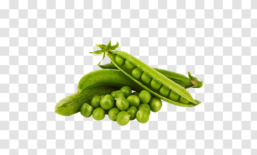 Snap Pea Food Vegetable Snow - Bean Transparent PNG