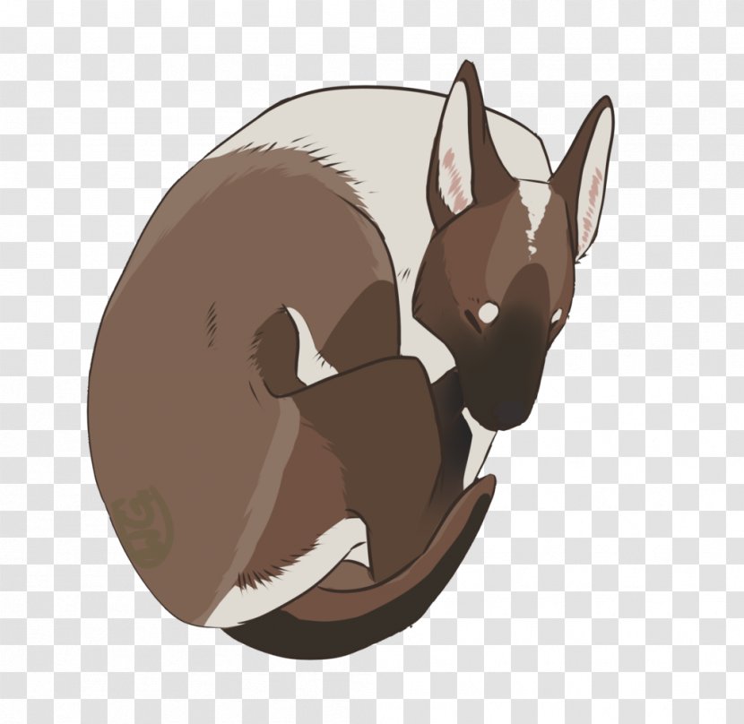 Dog Macropodidae Cartoon Snout - Tail - Oh Wow Transparent PNG