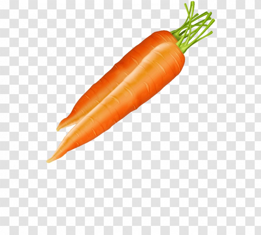 Baby Carrot Vegetable Clip Art - Auglis - Cartoon Transparent PNG