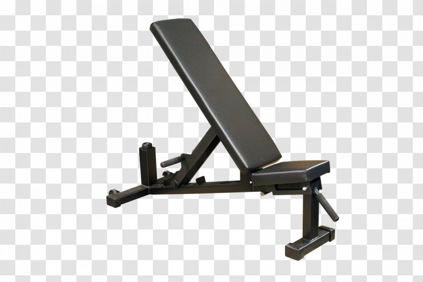 Bench Exercise Equipment Machine Fitness Centre Physical - Training - Dumbell Transparent PNG
