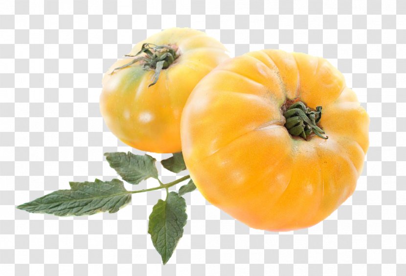 Cherry Tomato Vegetable PrimFruits Pineapple - Nightshade Family - Yellow Picture Transparent PNG
