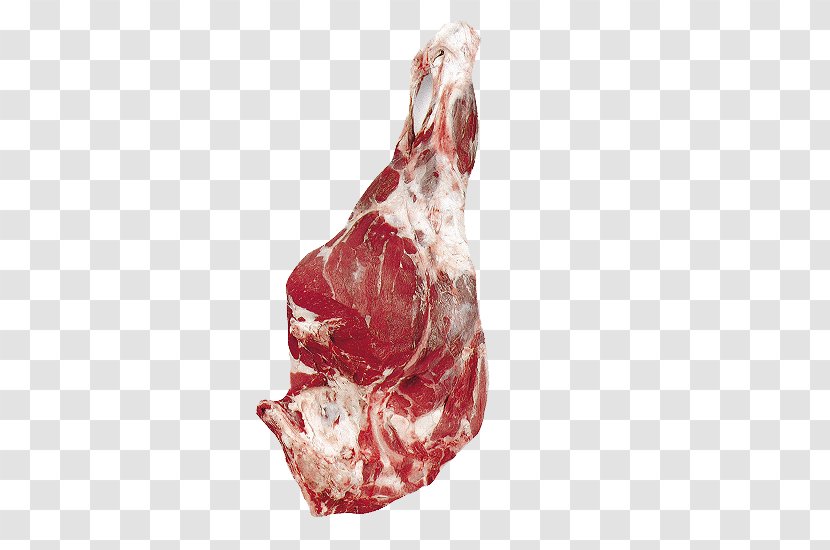 Lamb And Mutton Goat Ham Veal Sarma - Watercolor Transparent PNG