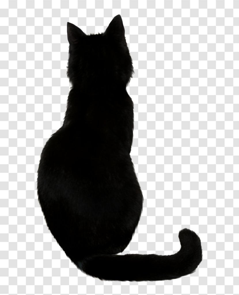 Cat Silhouette - British Shorthair Blackandwhite Transparent PNG