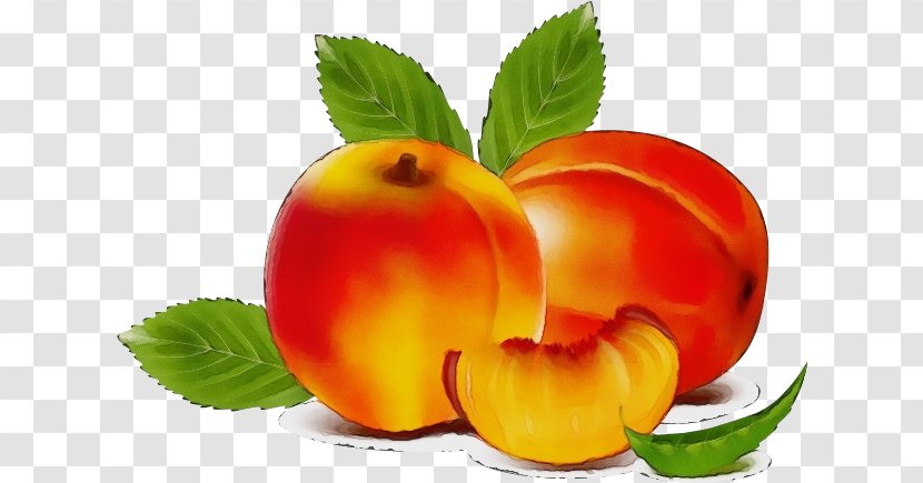 Apple Tree Drawing - Superfruit - Liquid Nectarine Transparent PNG