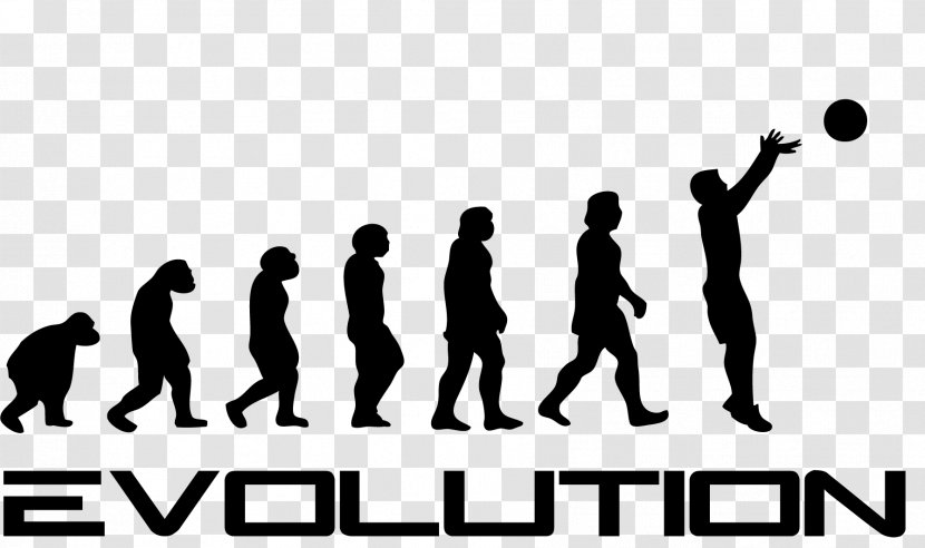 T-shirt Human Evolution Garrus Vakarian Homo Sapiens - Team - Daniel Bryan Transparent PNG