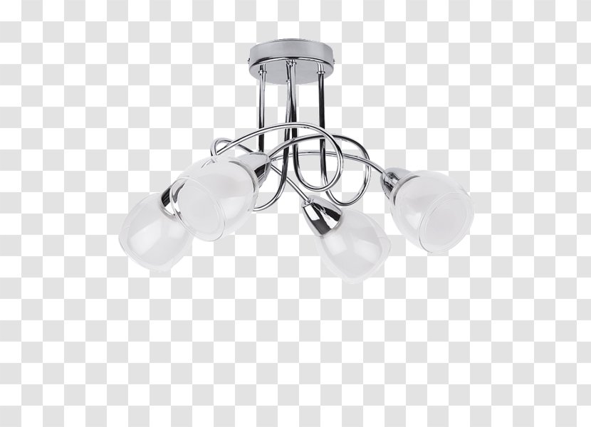 Incandescent Light Bulb Edison Screw Fassung Fixture - Ceiling Transparent PNG