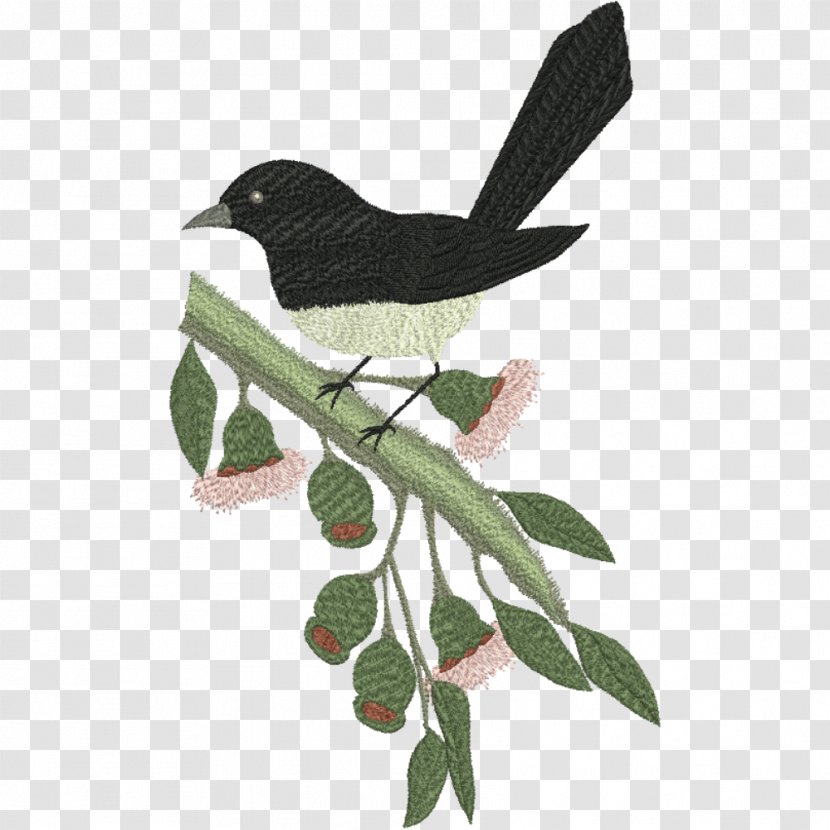 Willie Wagtail Bird Wagtails Beak Machine Embroidery Transparent PNG