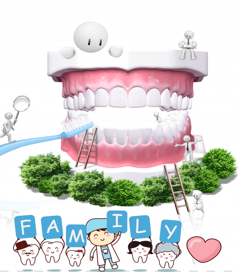 Dentistry Dental Implant Tooth - Health - Cartoon Plant Material Transparent PNG