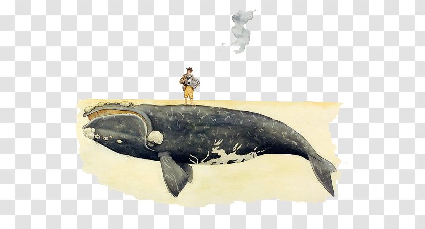Vancouver Visual Arts Whale Drawing Illustration - Cartoon Transparent PNG