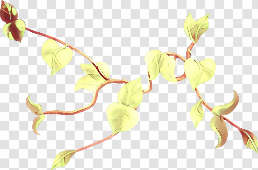 Plant Leaf Flower Stem Pedicel - Twig Transparent PNG