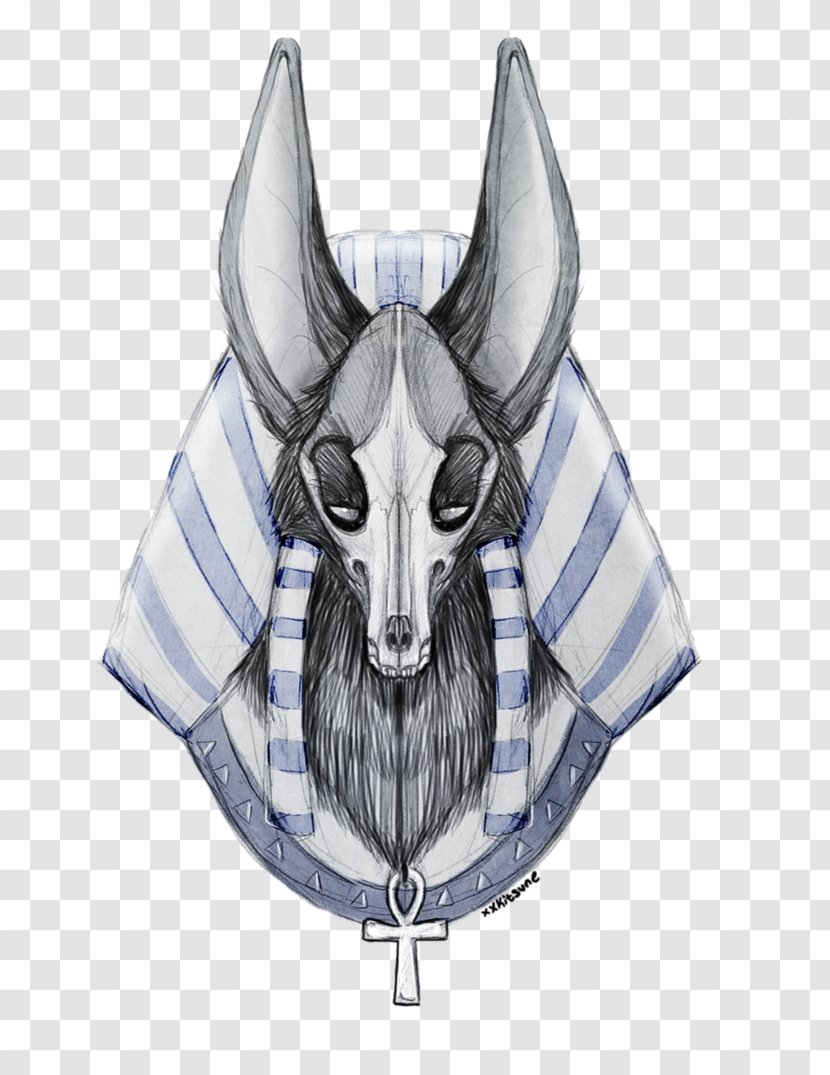Horse /m/02csf Snout Drawing Illustration - Like Mammal Transparent PNG
