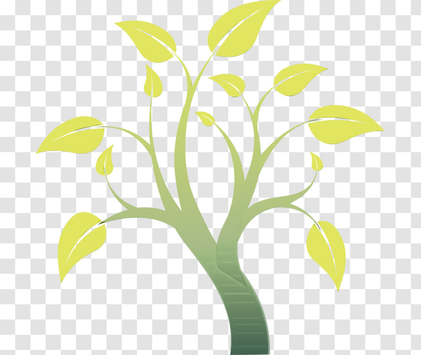 Green Leaf Yellow Plant Flower Transparent PNG