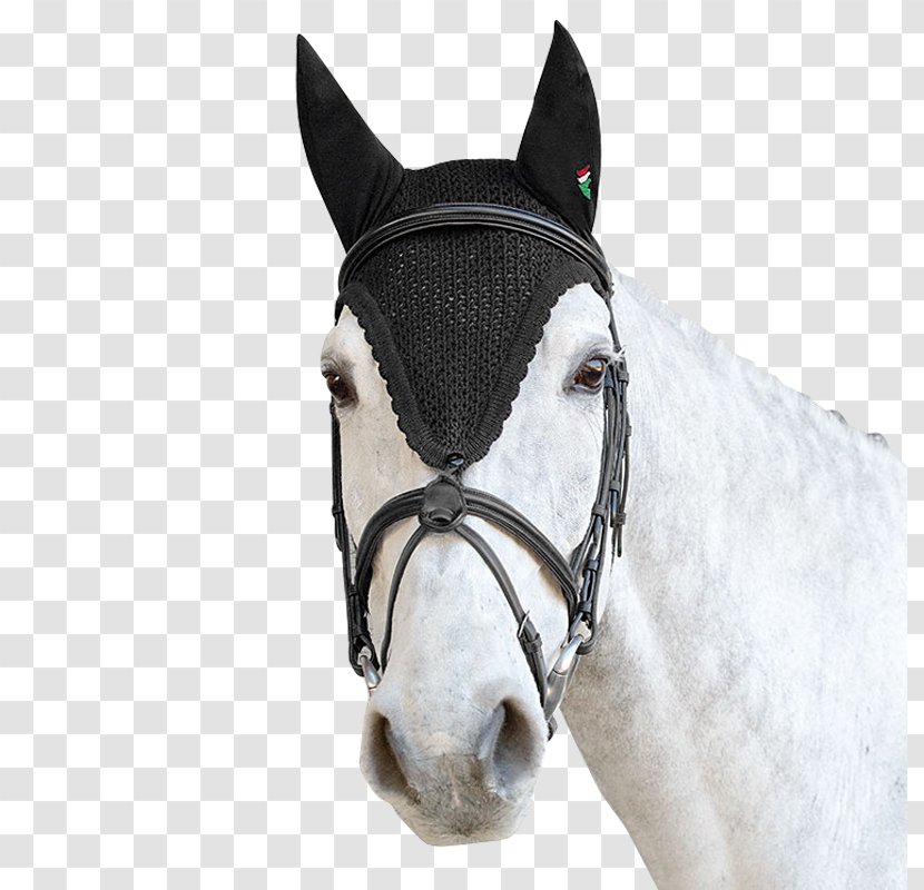 Horse Tack Equestrian Clothing Veil - Bonnet Transparent PNG