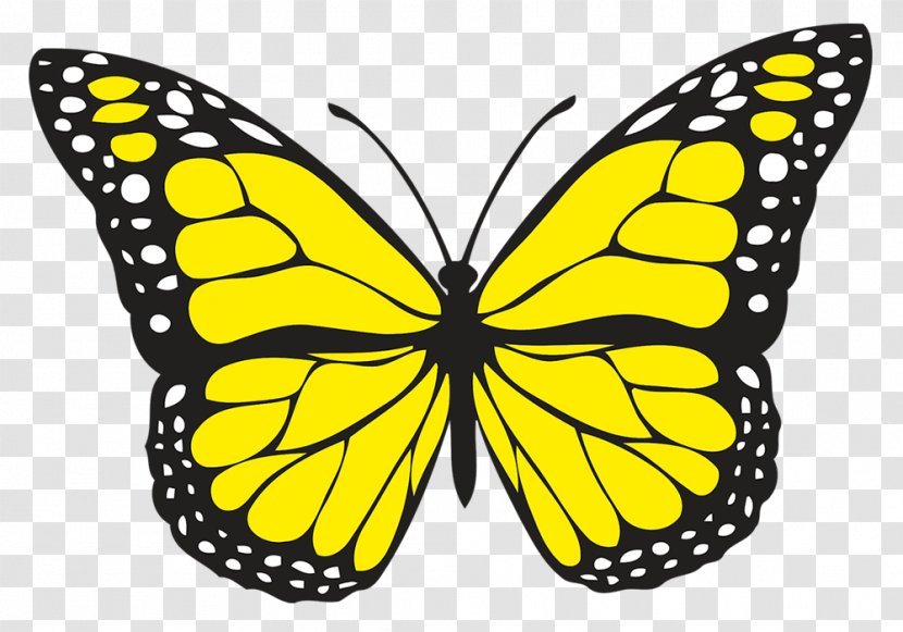 Butterfly Insect Clip Art - Monarch - Yello Transparent PNG