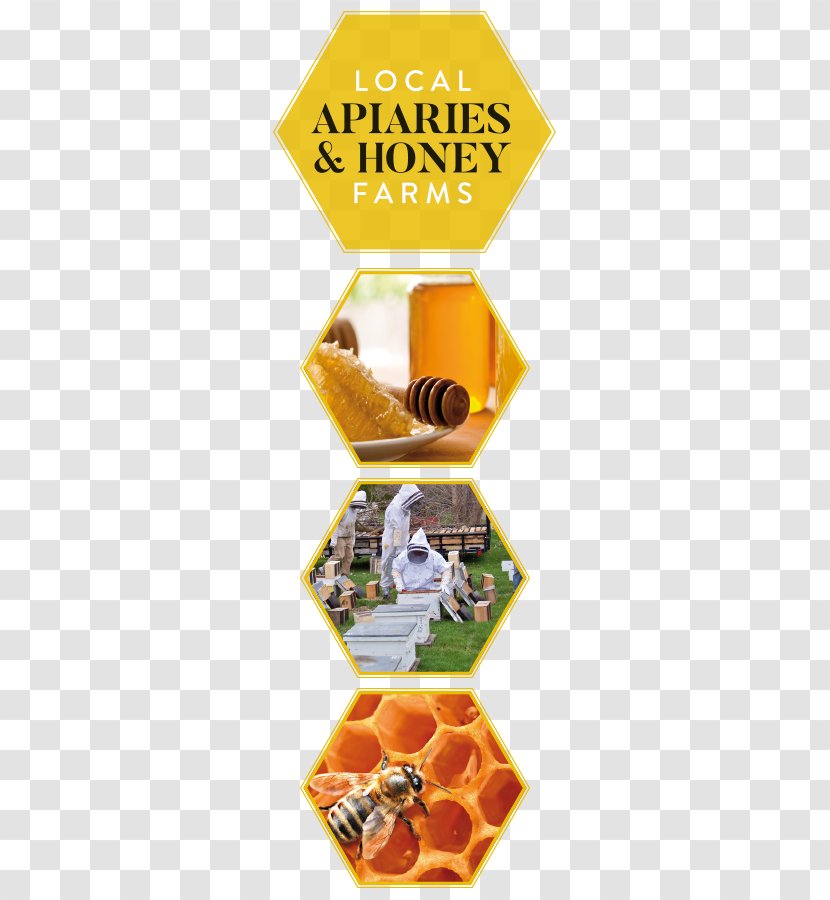 Aurora Barrie—Innisfil Newmarket Orillia - Barrie - Honey Farm Transparent PNG