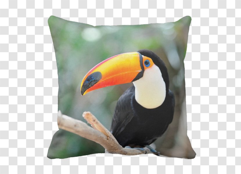 Paper Tropical Forest Toco Toucan Bird Book - Cushion Transparent PNG