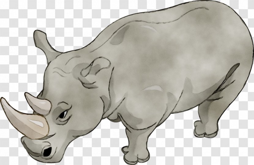Rhinoceros Animation Drawing Cartoon Image - Hippopotamus Transparent PNG