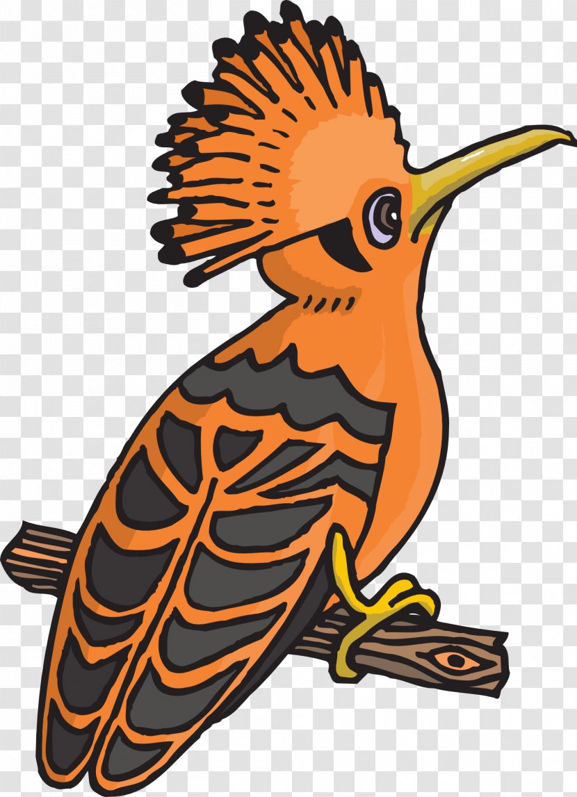 Bird Clip Art - Hoopoe - Branches Station Transparent PNG