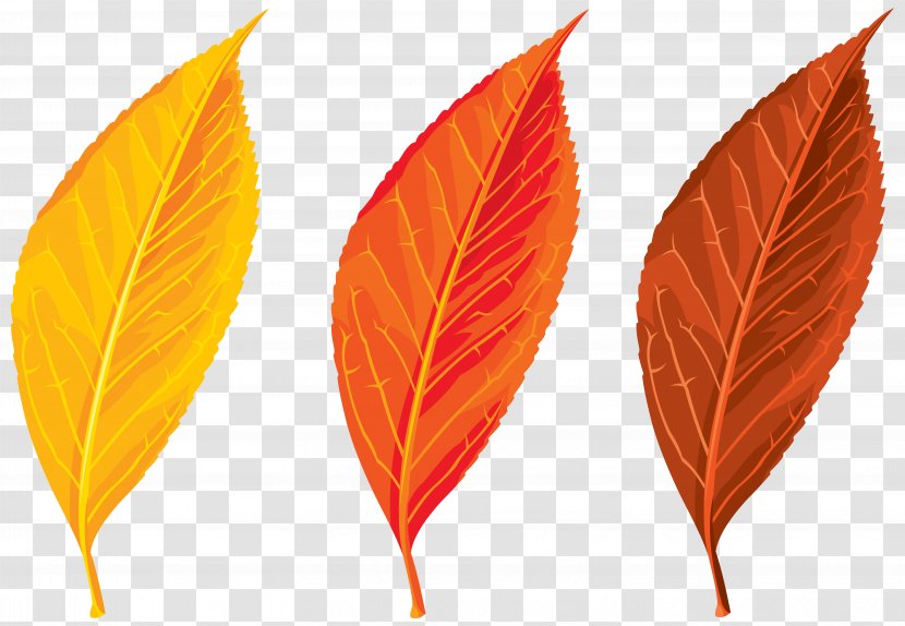 Autumn Leaf Color Clip Art - Leaves Set Clipart Image Transparent PNG
