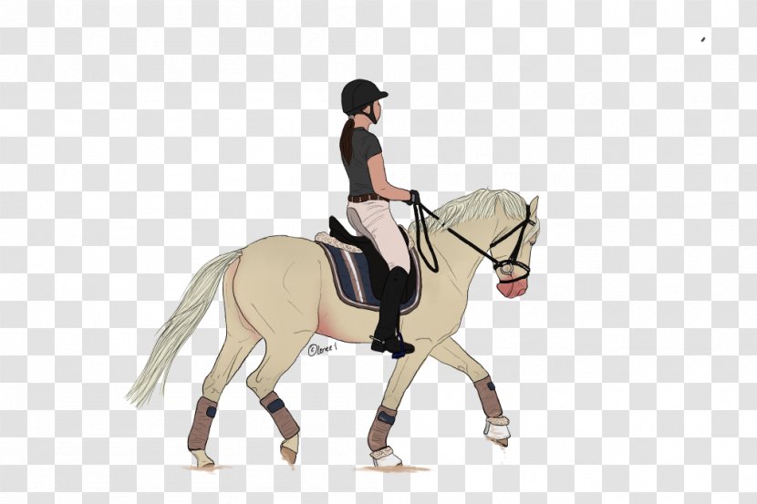 Stallion Mustang Pony Mare Dressage - Horse Transparent PNG