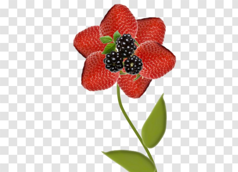 Strawberry Cartoon - Plant - Rubus Frutti Di Bosco Transparent PNG