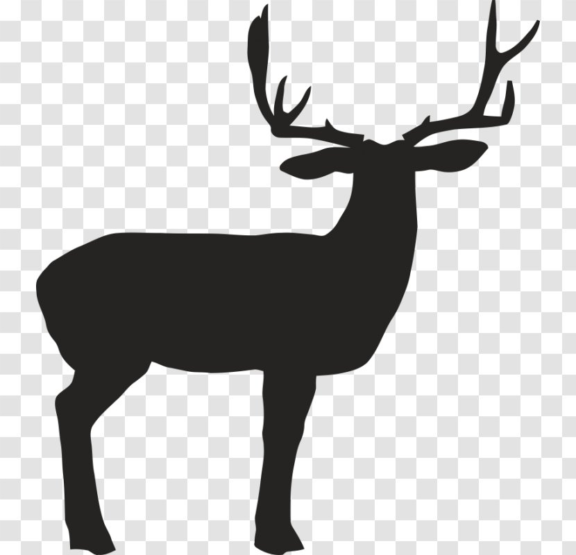 Reindeer White-tailed Deer Elk Antler - Shooting Transparent PNG