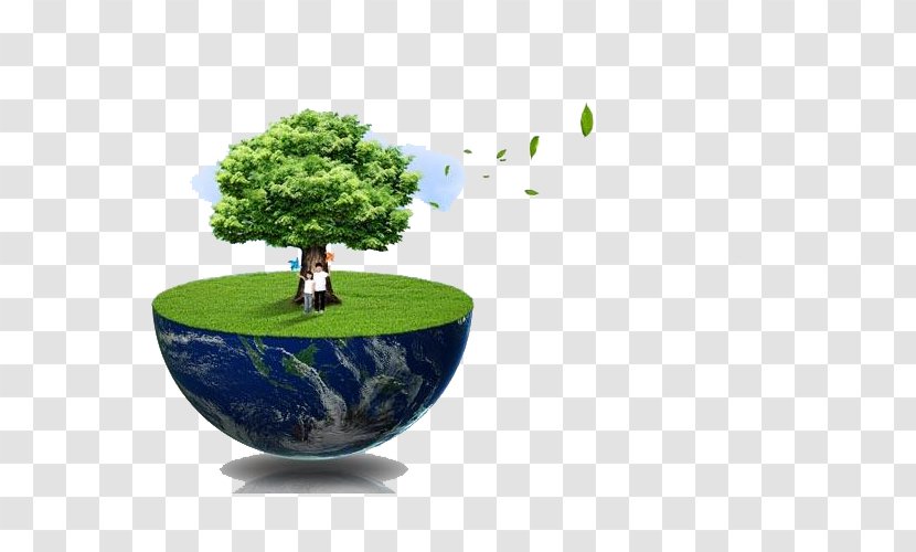 Earth Environmental Protection Natural Environment - Half The Globe Transparent PNG