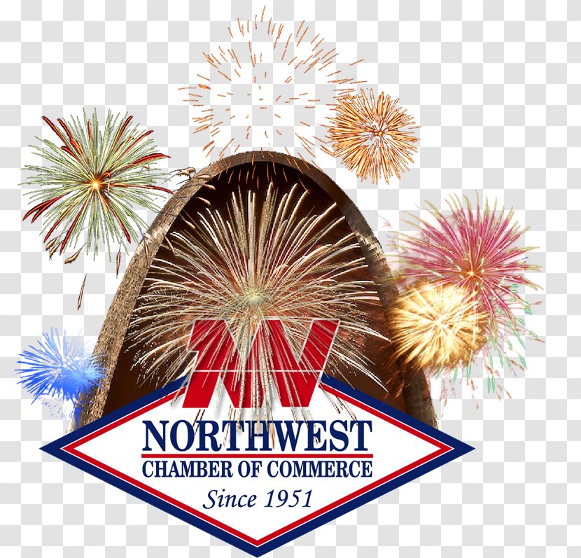 New Year Fireworks Independence Day Map - Text - Non Profit Organization Transparent PNG