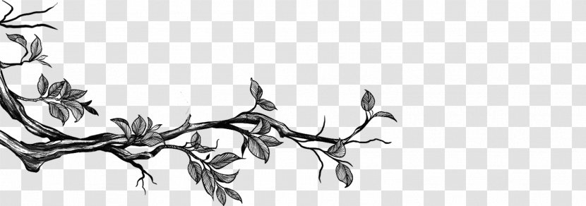 Twig Sketch Design Graphics Plant Stem - Flower Transparent PNG