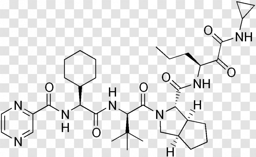 Amino Acid Amine Fluorenylmethyloxycarbonyl Protecting Group Peptide Amide Transparent PNG