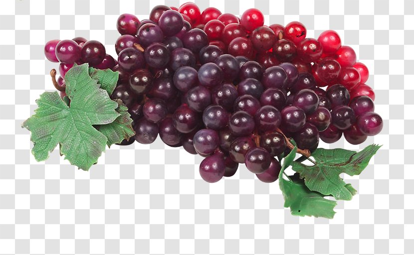 Grape Zante Currant Distilled Beverage Cranberry - Seed Extract - Bunch Of Grapes Transparent PNG