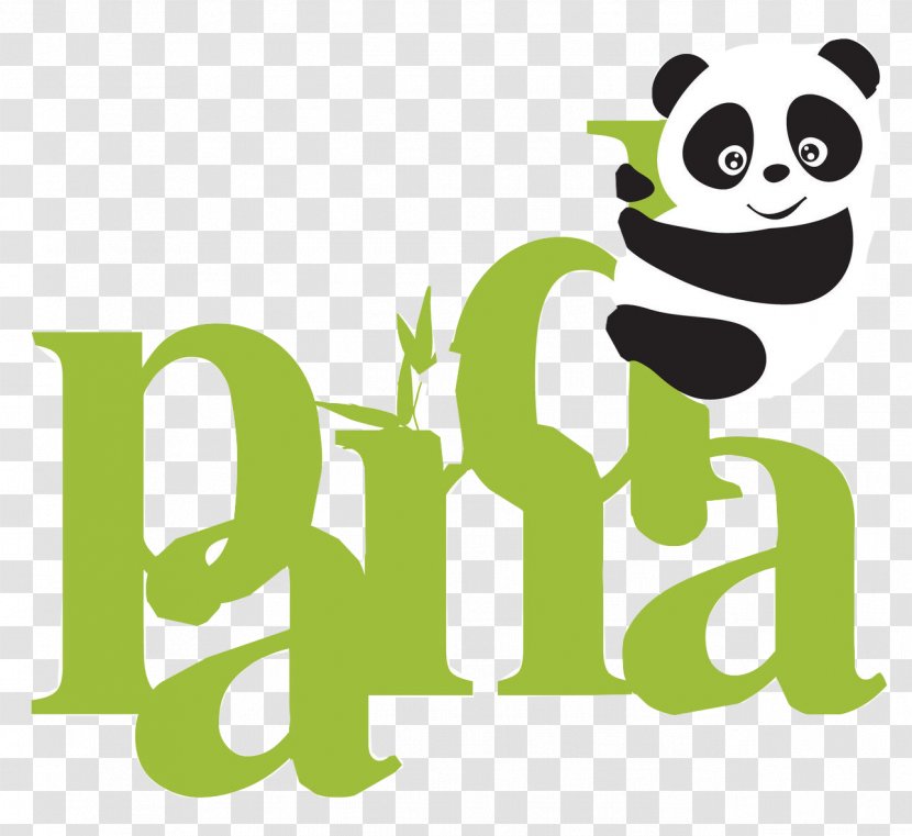 Giant Panda Bear Wall Decal Hong Kong Education City - Cat Like Mammal - Illustration Transparent PNG